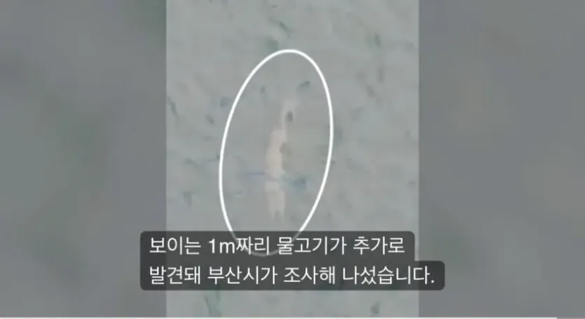 1791883266088.webp